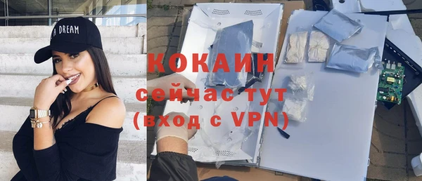 кокс Богородицк