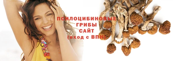 кокс Богородицк