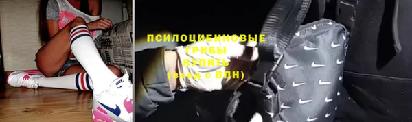 кокс Богородицк