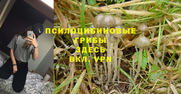 бутират Богородск