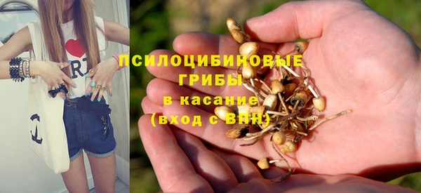 apvp Богданович